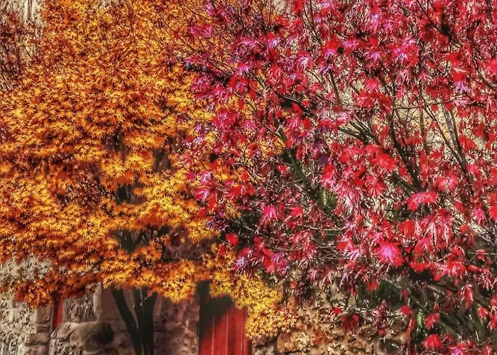 Appartement Palacion De Santillana *