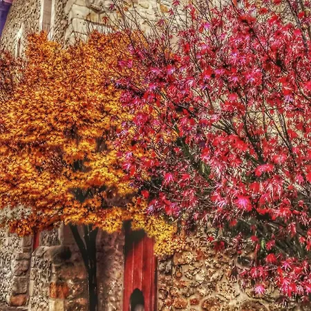 Апартаменты Palacion De Santillana *