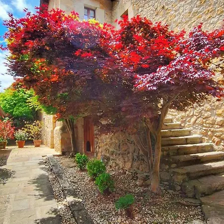 Апартаменты Palacion De Santillana *